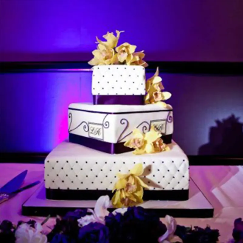 Pin spot lights highlighting wedding centerpieces